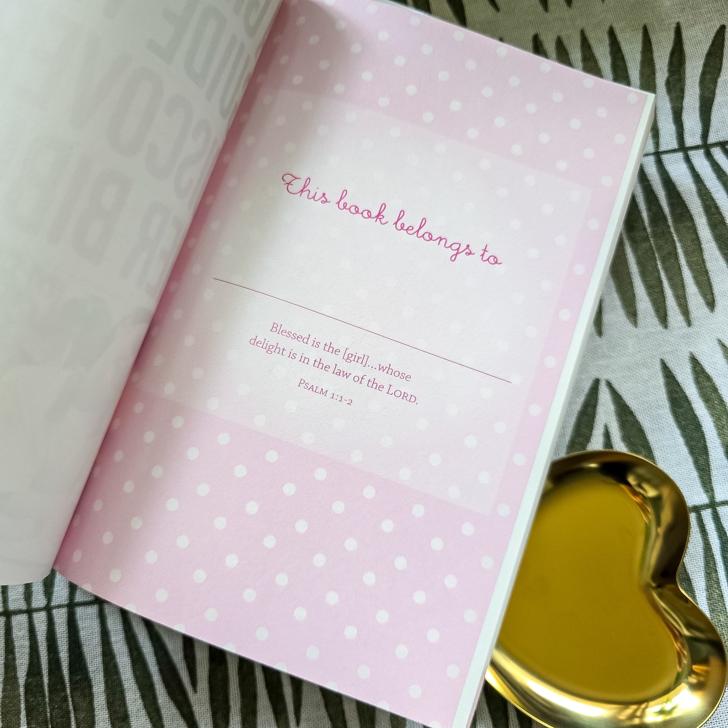 A Girls Guide To Discovering Her Bible (Paperback)