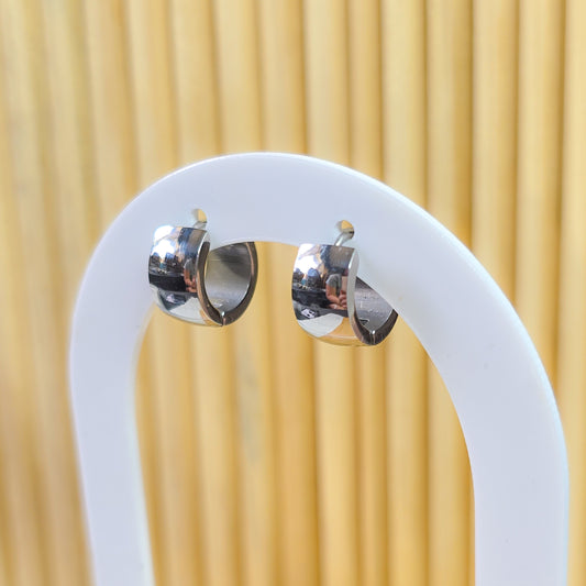 Monochrome silver Earrings