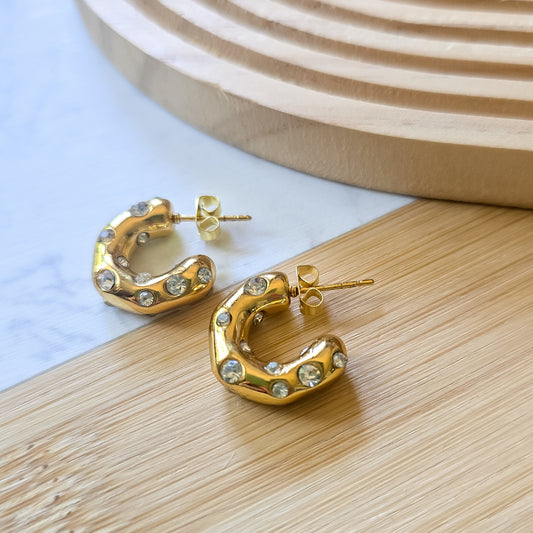Stainless steel hoop Zirconia earrings