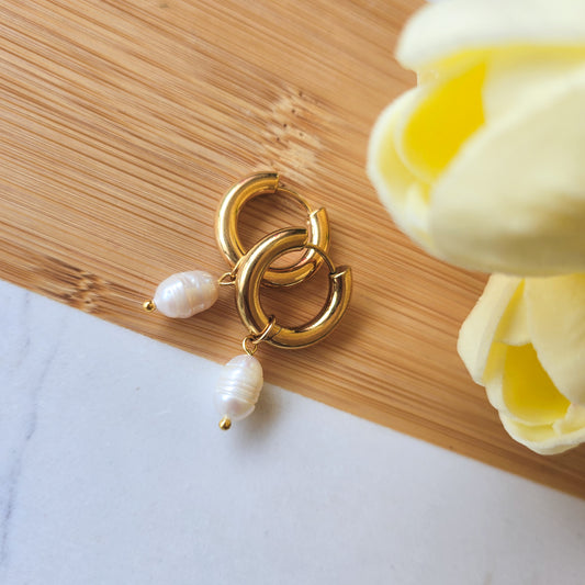 Freshwater thick hoop pearl earrings