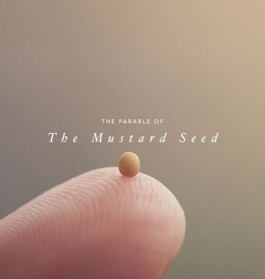 Mustard Seed mountain GOLD